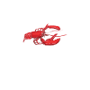 Crawfish Legend Shirt Gift