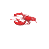 Crawfish Master Shirt Gift