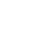 Retired Kung Fu