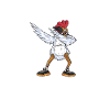 Chicken Gifts Chicken Owner
