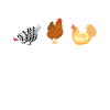 Chicken Gifts Chicken Owner