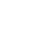 E-Scooter E-Roller Scooter