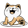 Happy cat