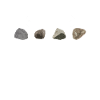 Rock Collecting Geology Geologist