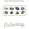 Rock Collecting Geology Geologist