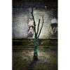 Turquoise tree
