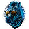 Cool Zebra
