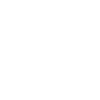 Everyday Is Camel Day