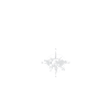 Coordonnées Locarno