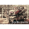 At the Oldtimer cemetery