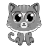 Chat gris