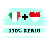 Italy and Indonesia 100% Flag Engineers