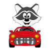 AUTO - WASCHBÄR - TIER - TIERISCH