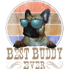 Bedste ven, Frenchie, Bølle, Bedste ven,