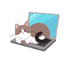 I are programmer