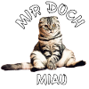 Katze – Mir doch miau