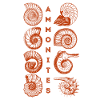 AMMONITES - Fossil - Paleontology - Student