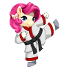 Karate Einhorn