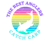 Retro carp