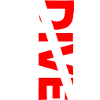 Rescue Diver Flagge LLO