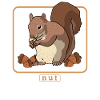 Süßes Eichhörnchen Hörnchen Grauhörnchen Geschenk