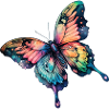 Schmetterling Regenbogenfarben