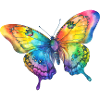 Schmetterling Regenbogenfarben