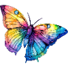 Schmetterling Regenbogen Farben.