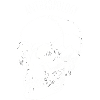 anthropology skull