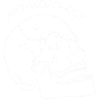 anthropology skull