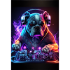 Bulldog DJ Dog DJ