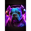 Bulldog DJ Dog DJ