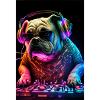 Bulldog DJ Dog DJ