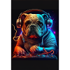 Bulldog DJ Dog DJ