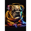 Bulldog DJ Dog DJ