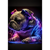 Bulldog DJ Koira DJ