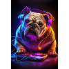 Bulldog DJ Dog DJ