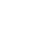 NOAH Schriftzug verziert Vectorgraphic