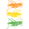 Grashüpfer