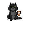 Cat Nope
