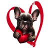 Joyeuse Saint-Valentin Français Bulldog