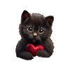 Chat de la Saint-Valentin