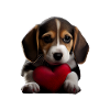 Bonne Saint-Valentin Beagle