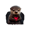 I steal hearts Otter