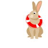 Rabbit with lifebuoy