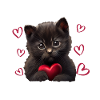 I steal hearts cat