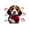 I steal hearts Dog Beagle
