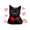 I steal hearts cat