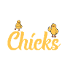 Chicken Gifts Chicken Owner