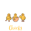 Chicken Gifts Chicken Owner